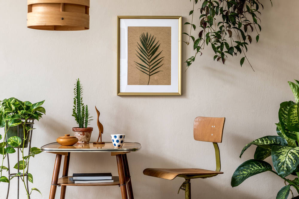 Descubre las mejores ideas para decorar tu casa con plantas y darle belleza y frescura a cada rincón